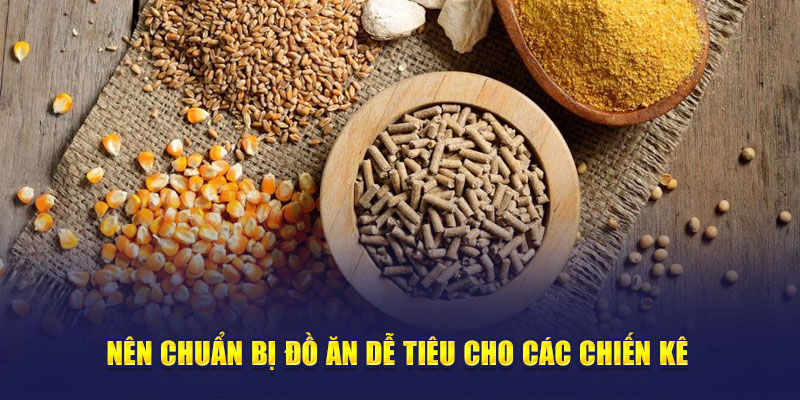 Cách nuôi gà đá không bị hốc từ việc chuẩn bị đồ ăn