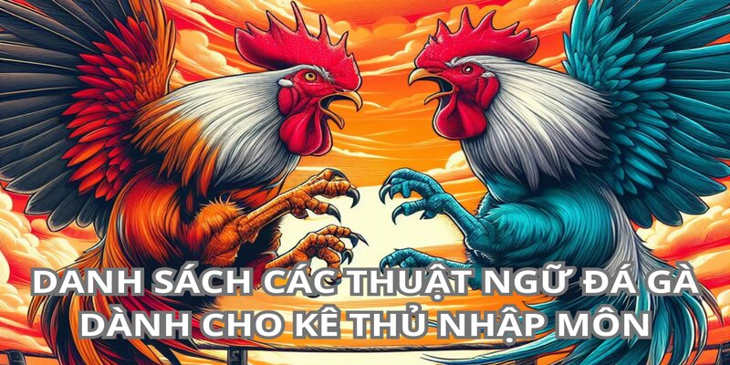 Thuật ngữ trong đá gà cho những người mới nuôi